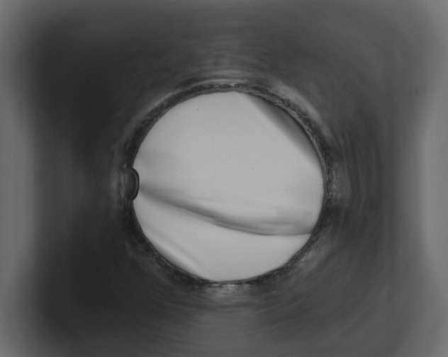 X0000100911352200807151130