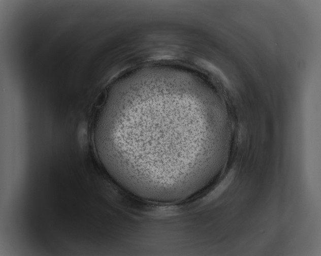 X0000100911353200807151130