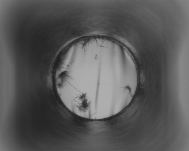 X0000100911356200807151130