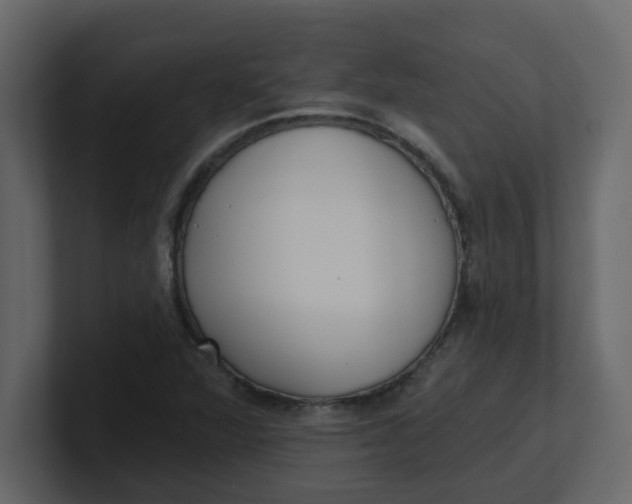 X0000100911360200807151130