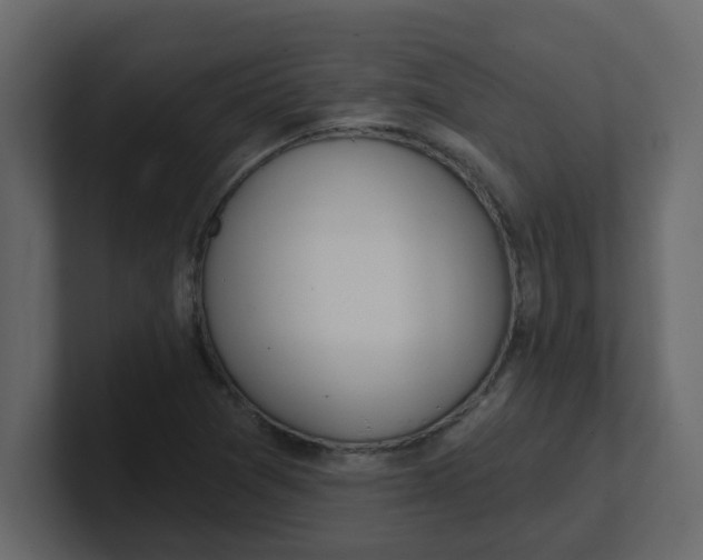 X0000100911361200807151130