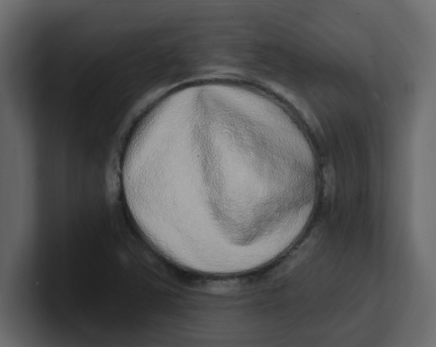 X0000100911363200807151130