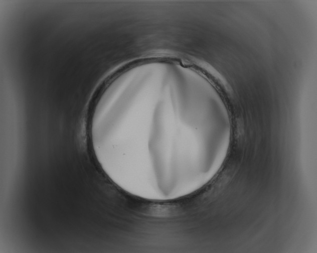 X0000100911364200807151130