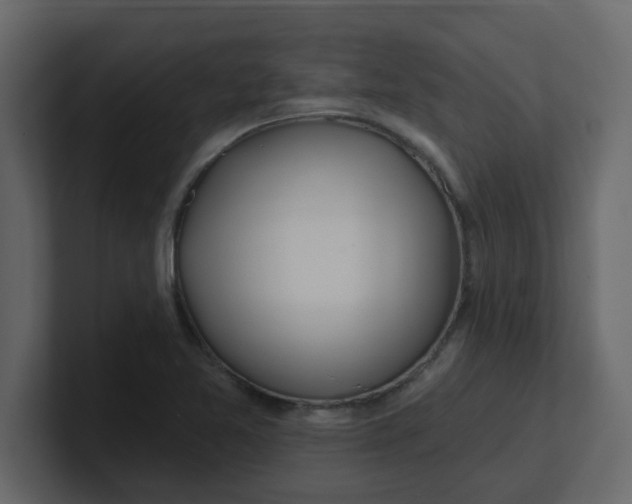 X0000100911365200807151130