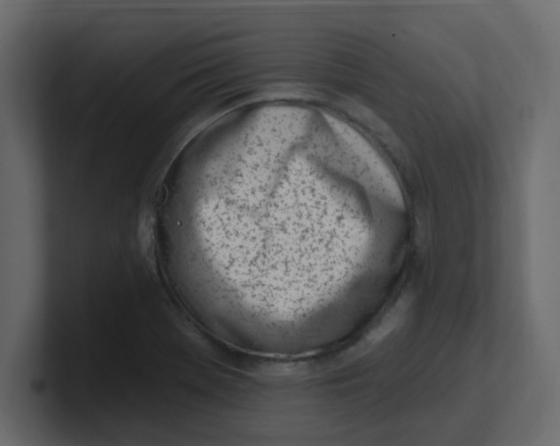 X0000100911369200807151130