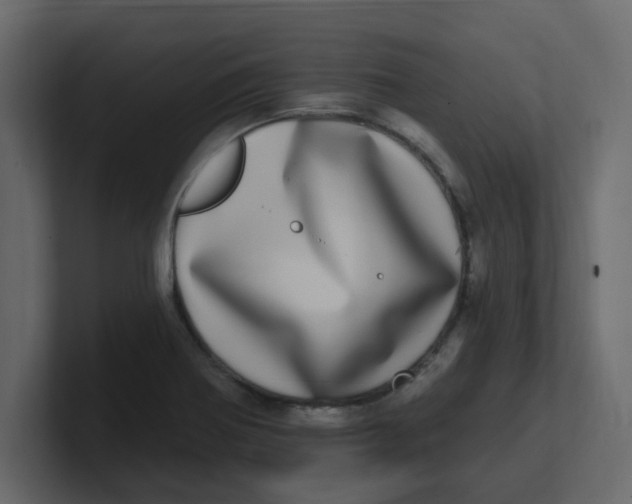 X0000100911370200807151130