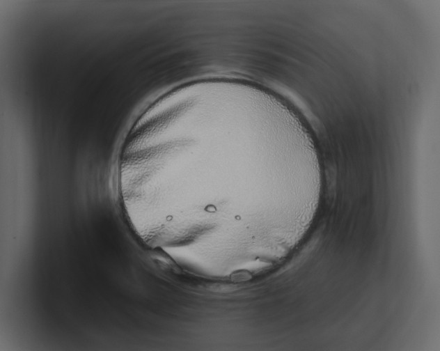 X0000100911371200807151130