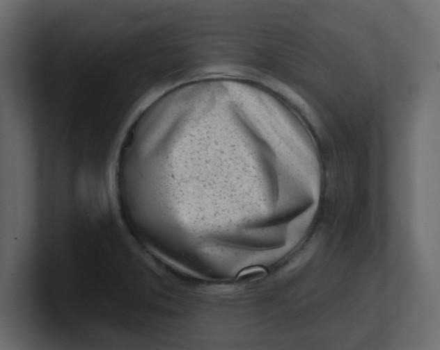 X0000100911373200807151129