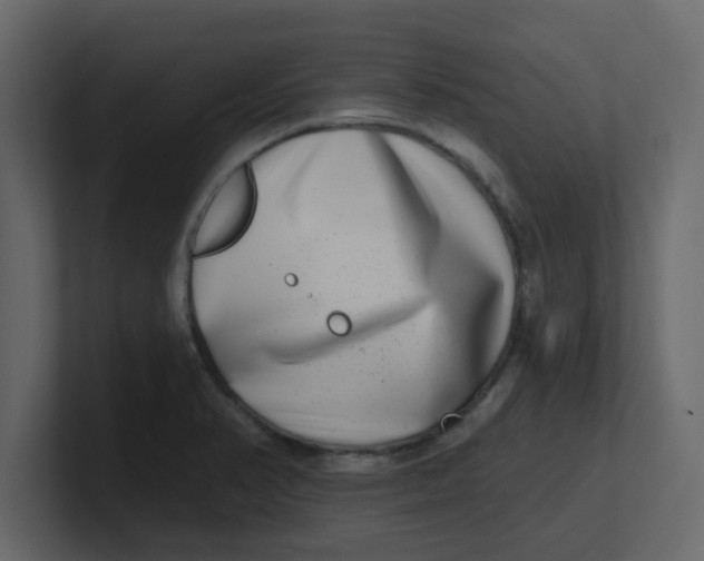X0000100911374200807151129