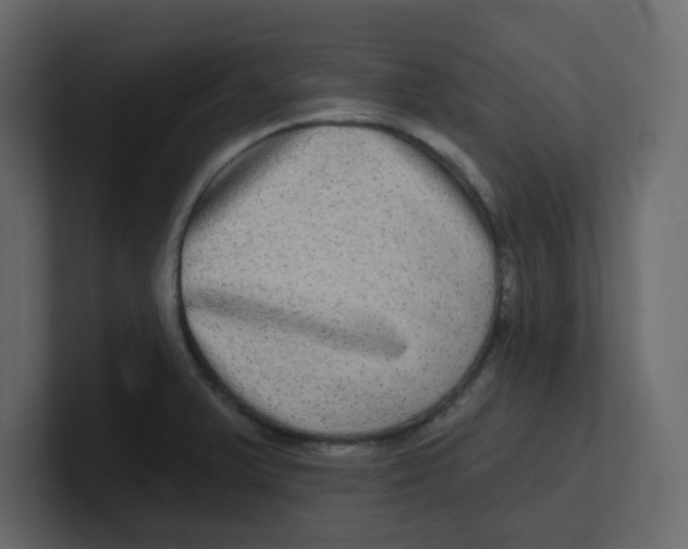 X0000100911375200807151129