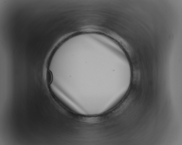 X0000100911376200807151129