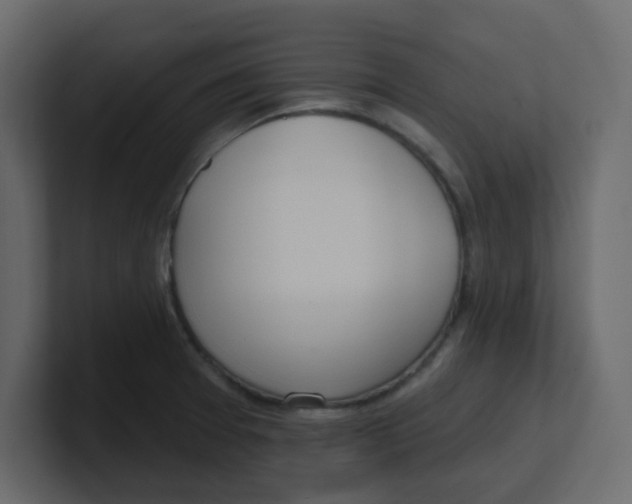X0000100911377200807151129