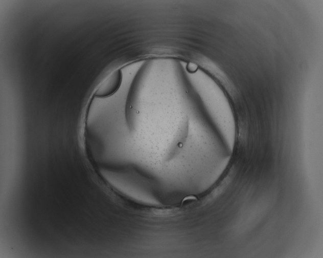 X0000100911378200807151129