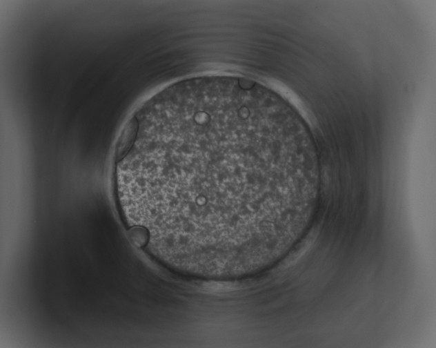 X0000100911379200807151129