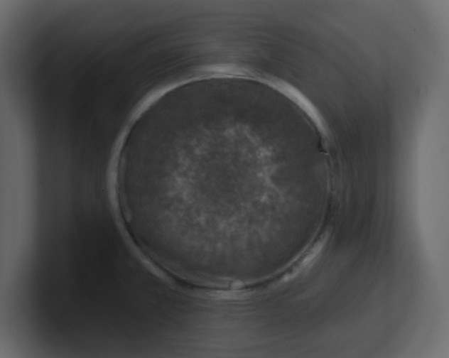 X0000100911381200807151129