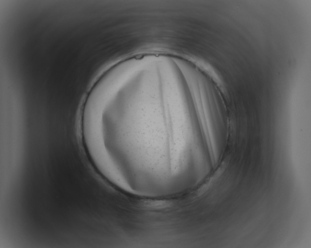X0000100911382200807151129