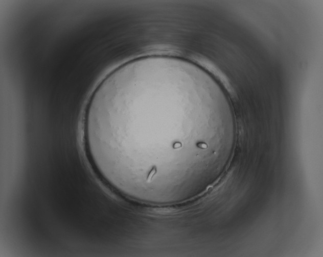 X0000100911383200807151129