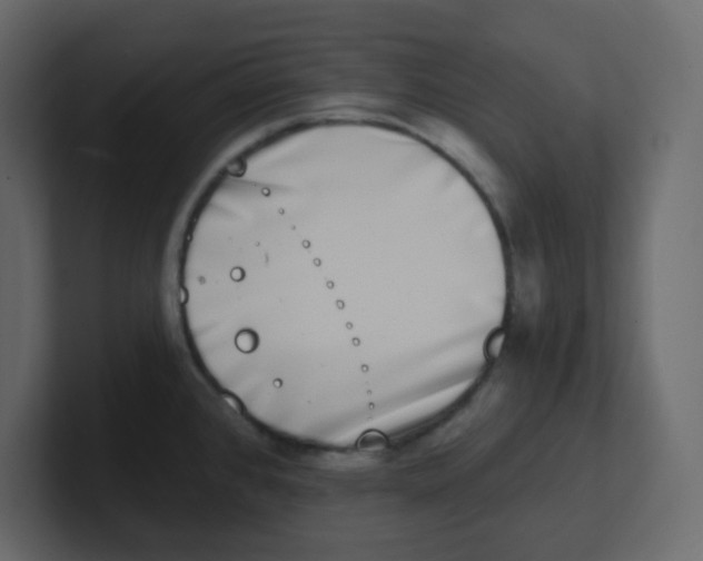 X0000100911384200807151129