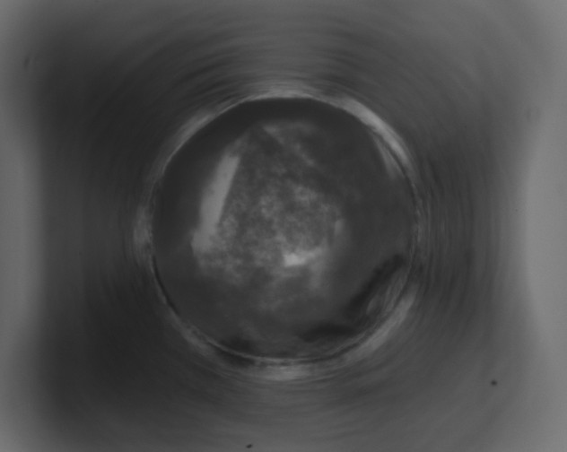 X0000100911385200807151129