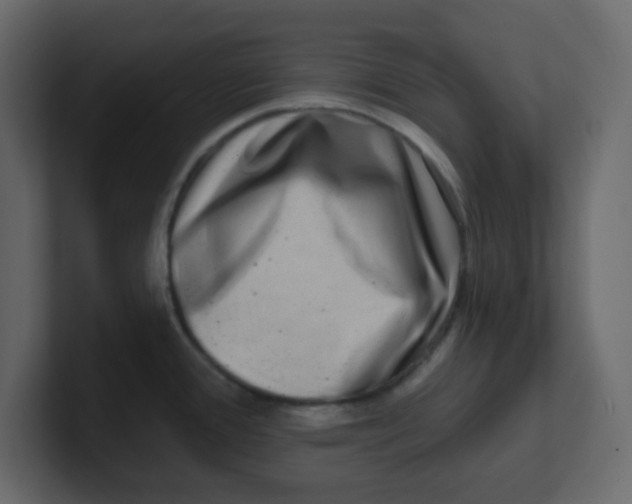 X0000100911388200807151129