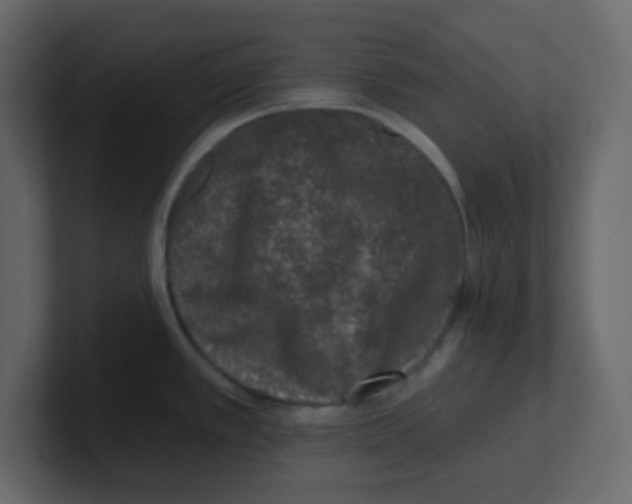 X0000100911389200807151129