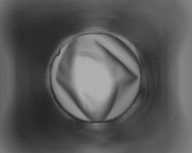 X0000100911390200807151129
