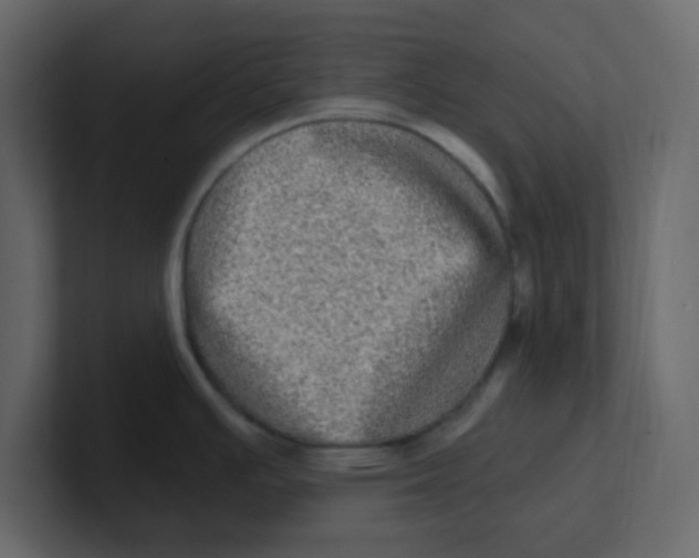 X0000100911391200807151129