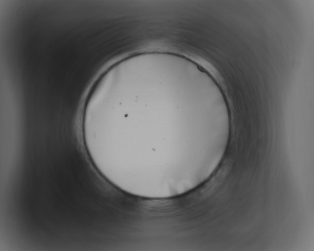 X0000100911392200807151129