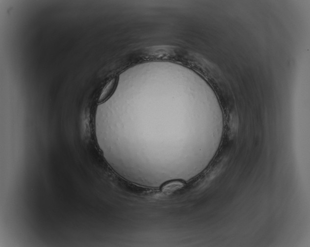 X0000100911394200807151129