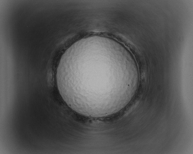 X0000100911398200807151129