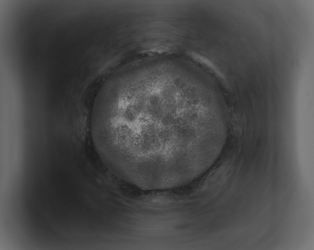 X0000100911399200807151129