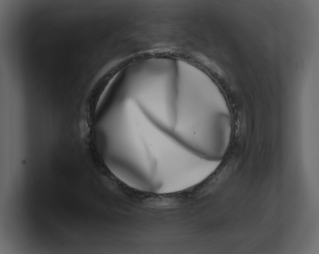 X0000100911400200807151129