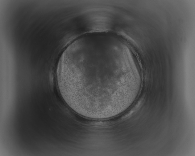 X0000100911401200807151129