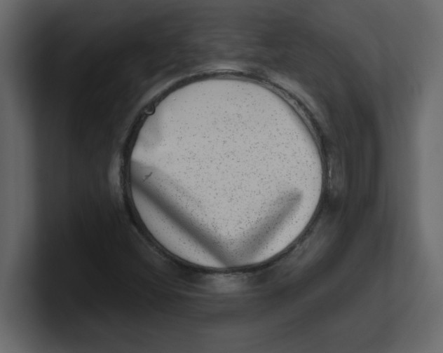 X0000100911404200807151129