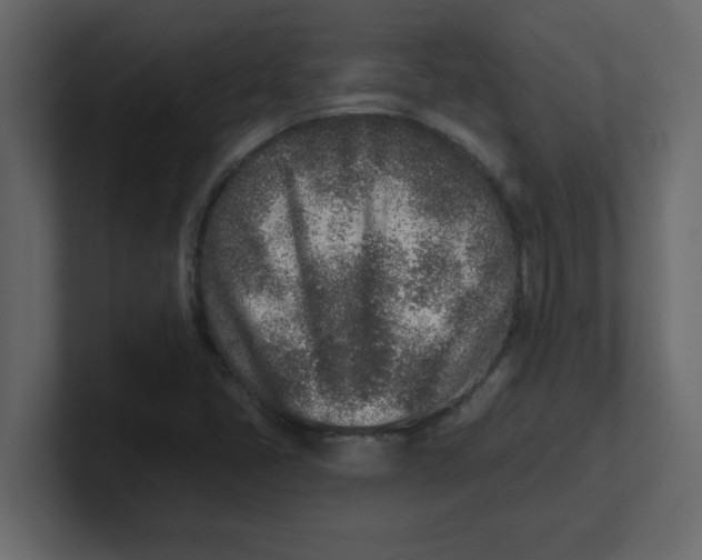 X0000100911405200807151129