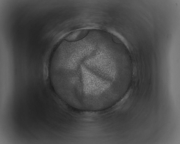 X0000100911407200807151129