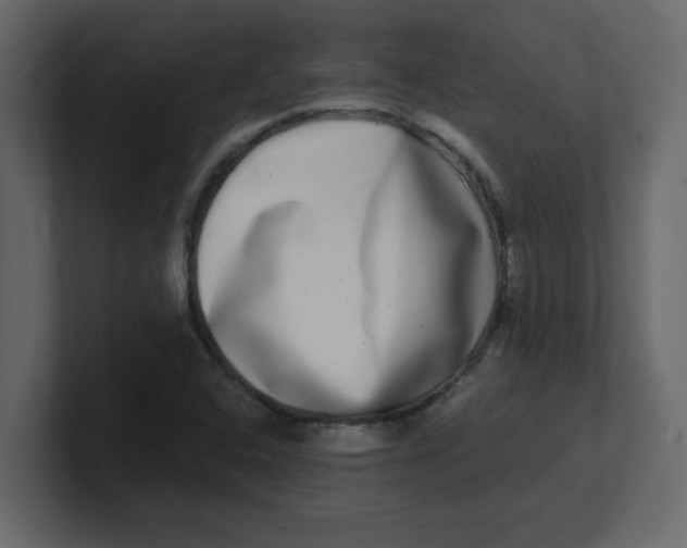 X0000100911408200807151129