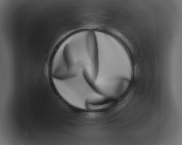 X0000100911412200807151129