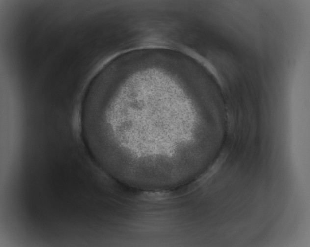 X0000100911415200807151129