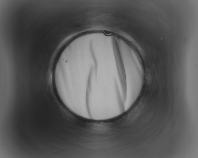 X0000100911416200807151129