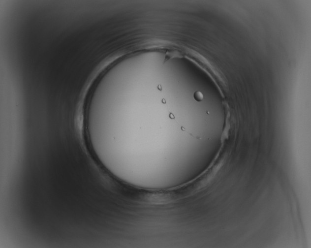 X0000100911418200807151129