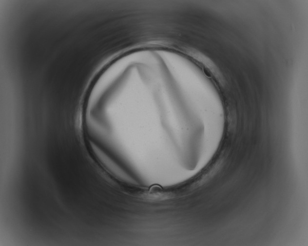 X0000100911420200807151129