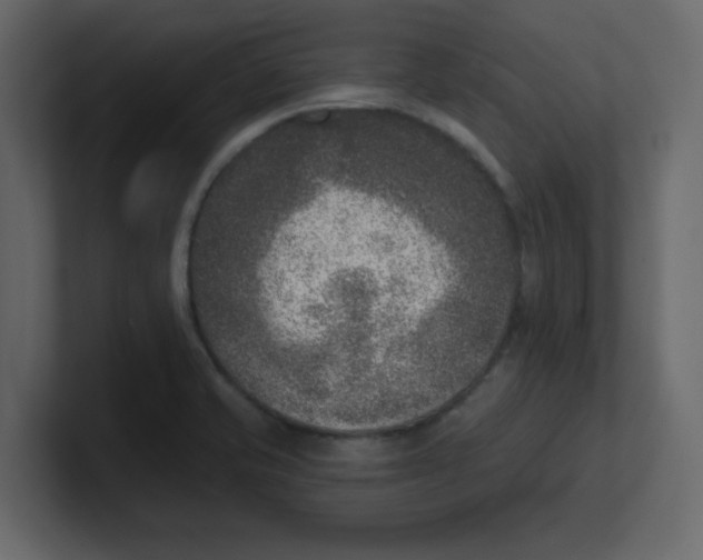 X0000100911421200807151129