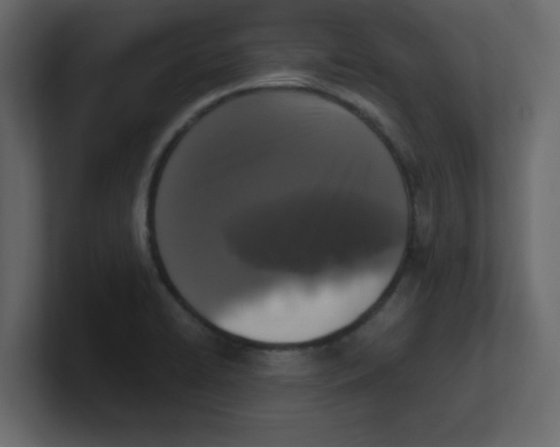 X0000100911422200807151129