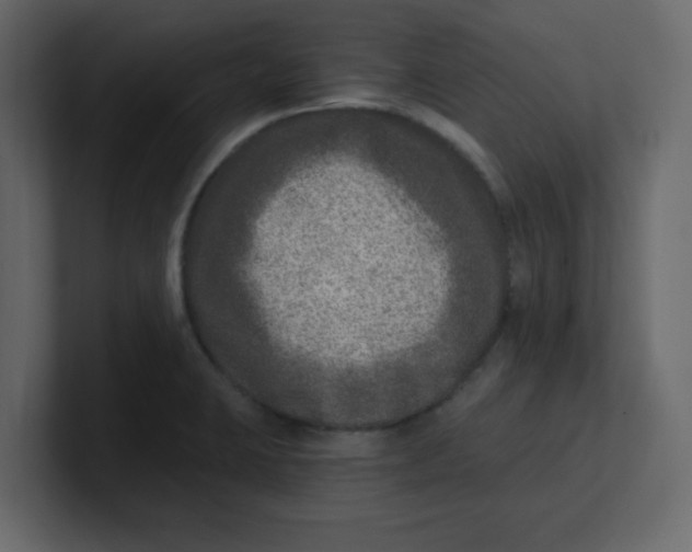 X0000100911423200807151129