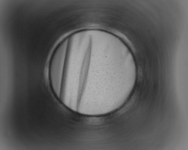 X0000100911424200807151129