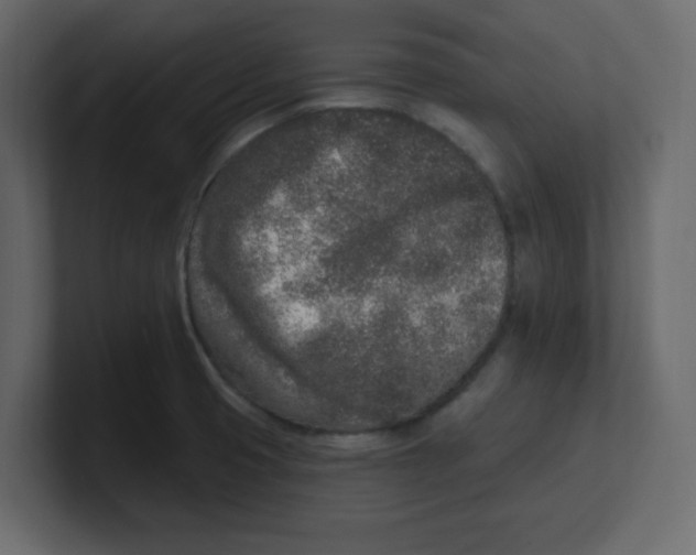 X0000100911425200807151129