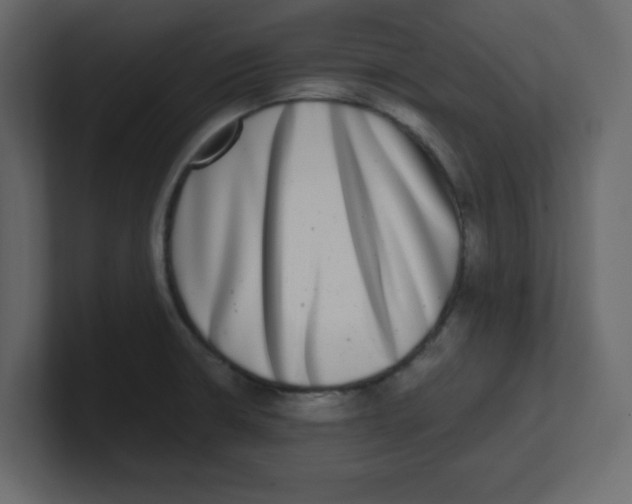 X0000100911426200807151129