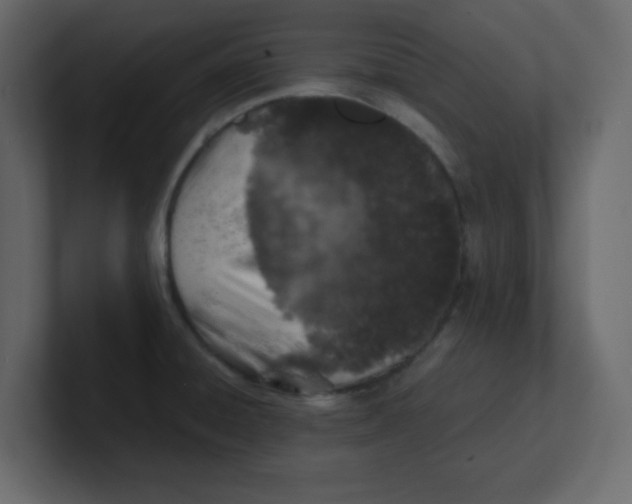 X0000100911428200807151129