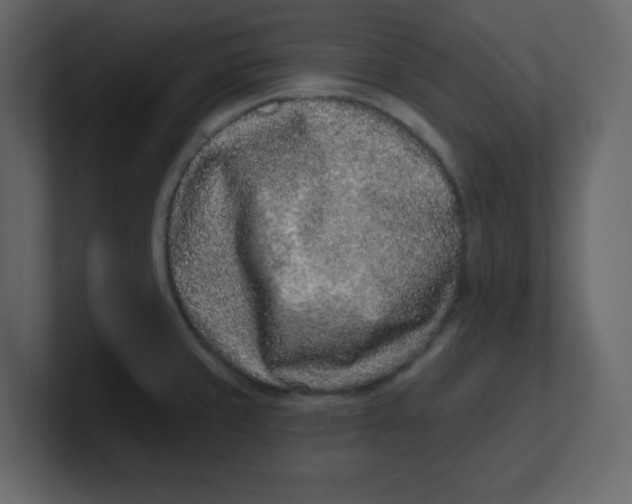 X0000100911429200807151129